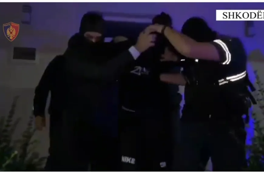 VIDEO/ Policia e Shkodres arreston në flagrancë duket vjedhur 24…