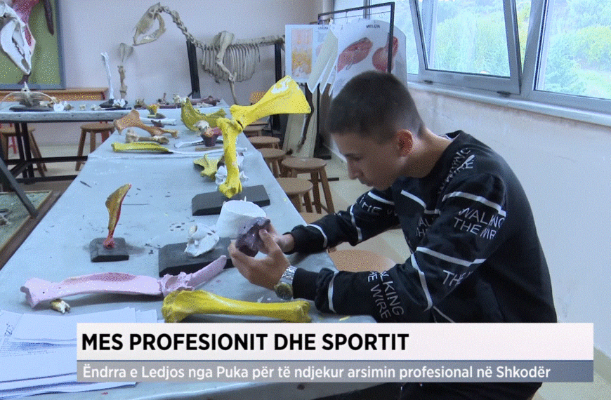 Mes profesionit dhe sportit/ Ëndrra e Ledjos nga Puka për…